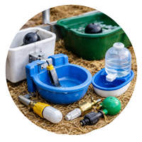 büyük-küçük-baş-sulukPNGGG